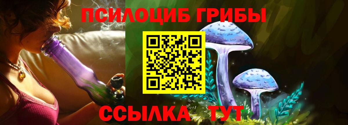 Псилоцибиновые грибы Psilocybe  Вход с VPN  Черняховск  Галлюциногенные грибы Psilocybe 
